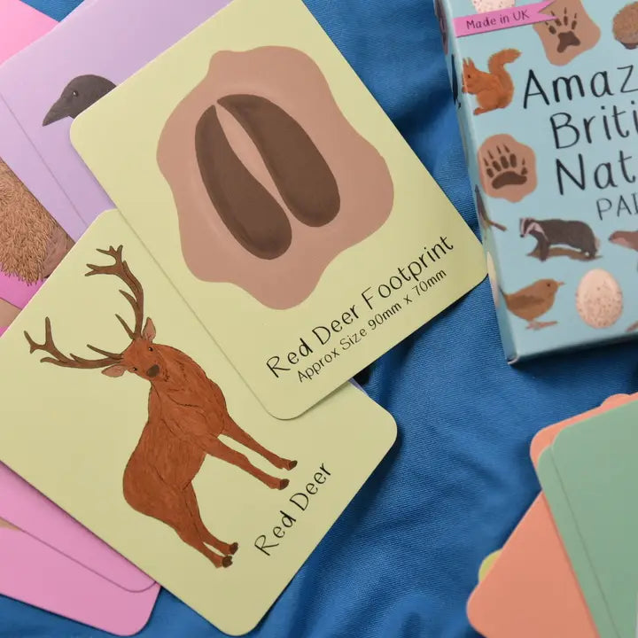 Amazing British Nature Matching Pairs