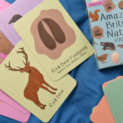 Amazing British Nature Matching Pairs