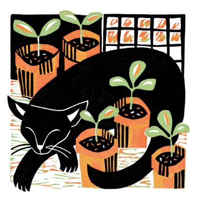 Amongst The Seedlings, Greetings Card