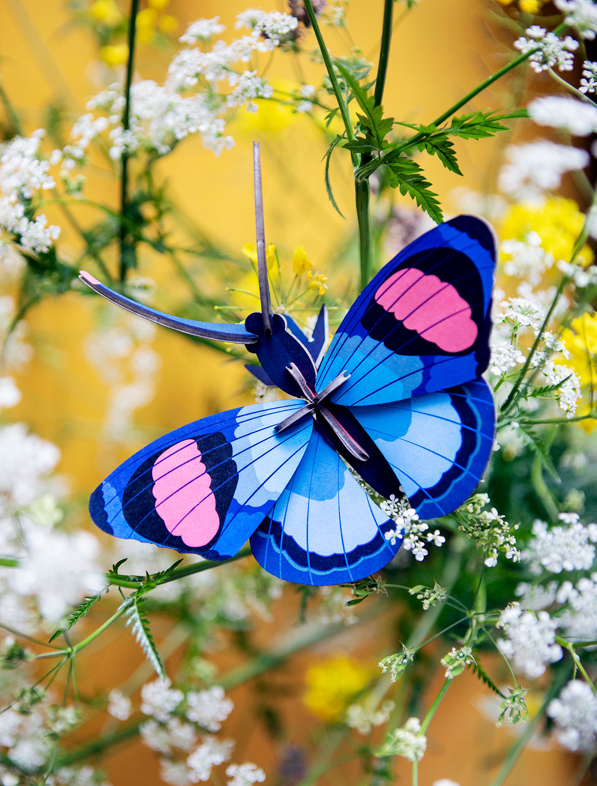 Peacock Butterfly Eco Friendly 3D Wall Art