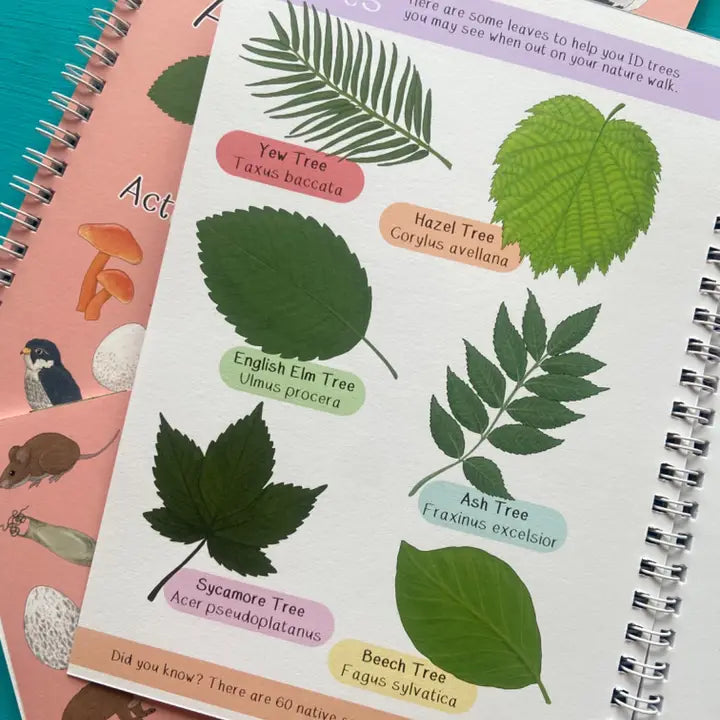 Amazing British Nature Walk Activity Book and Nature Journal