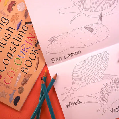 Amazing British Coastline Colouring Book
