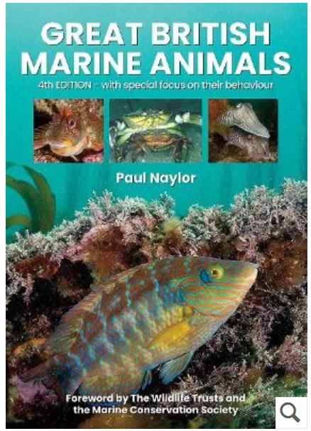 Great British Marine Animals