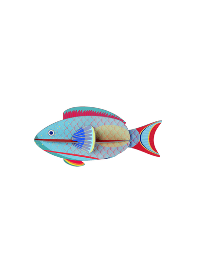 Parrotfish - Studio Roof