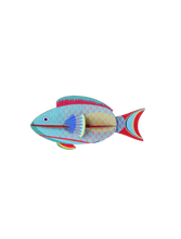 Load image into Gallery viewer, Parrotfish - Studio Roof
