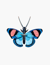 Load image into Gallery viewer, Peacock Butterfly Eco Friendly 3D Wall Art
