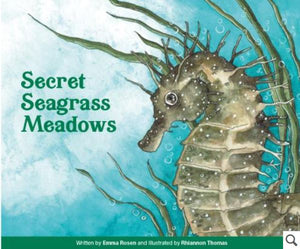 Secret Seagrass Meadows