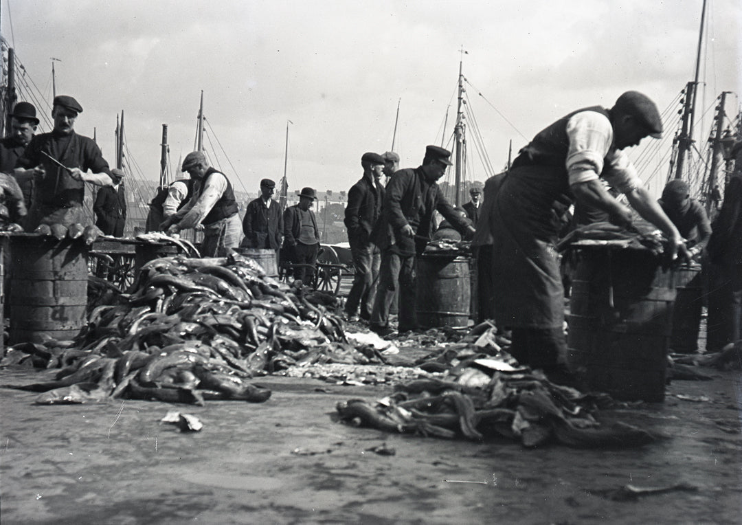 Barbican Fish Market, Print