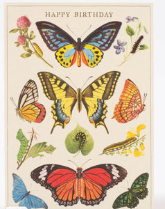 Happy Birthday Butterflies Greetings Card