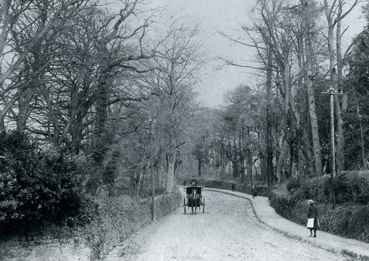 Horse and Carriage in the snow, Plymouth 1900s, Print