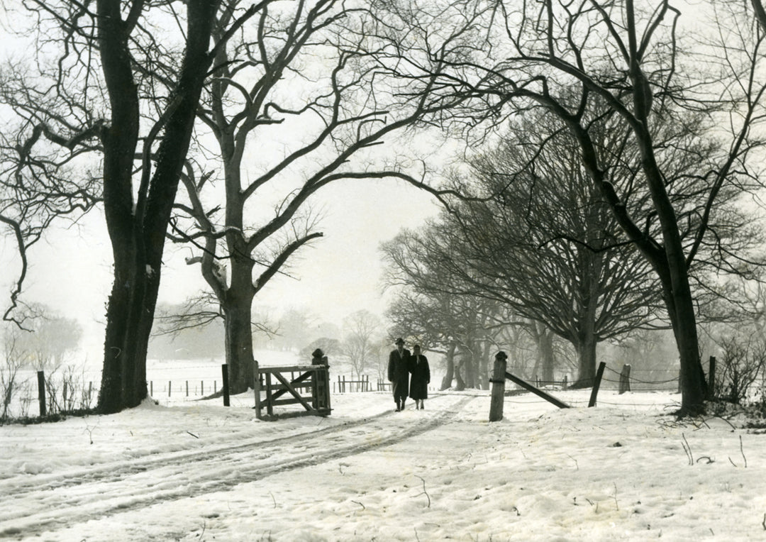 Saltram Park after Snowfall, 1963, Print