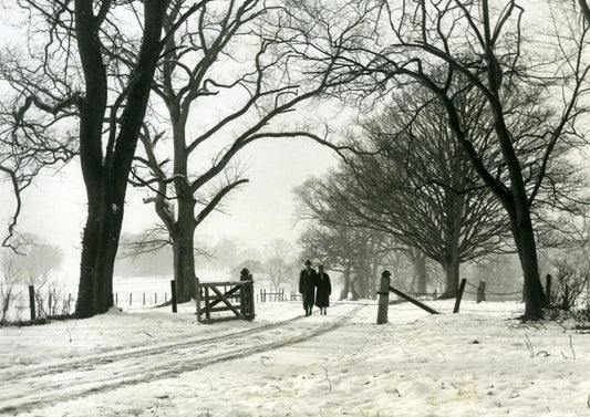 Saltram Park after Snowfall, 1963, Print