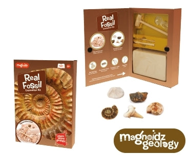 Fossil Dig Kit