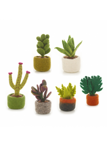 Miniature Felt Plant (assorted)