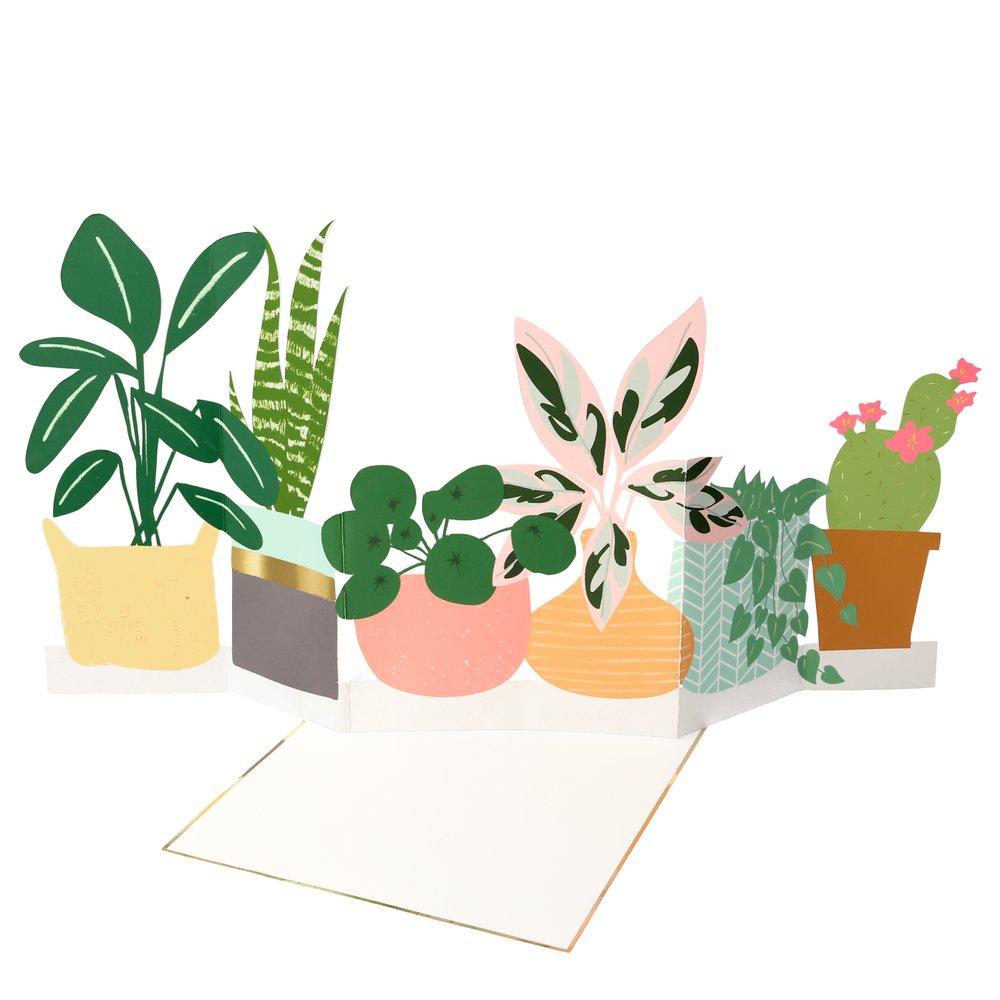 Potted Plant Concertina Pop Out Card