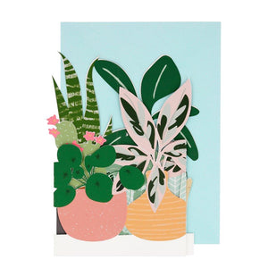 Potted Plant Concertina Pop Out Card