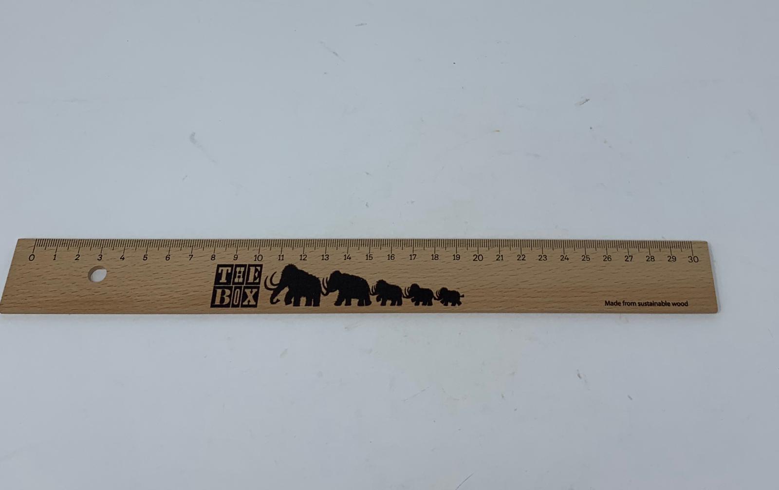 Mammoth Family Sustainable Wood Ruler – The Box